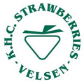 Strawberries (K.H.C.)